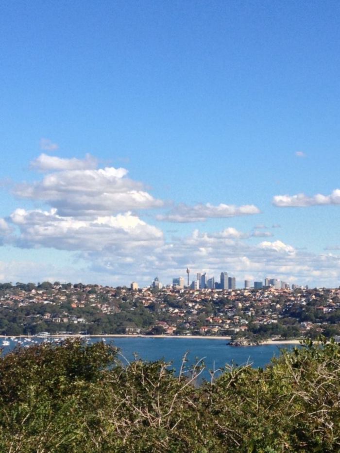 Middle Harbour in Winter